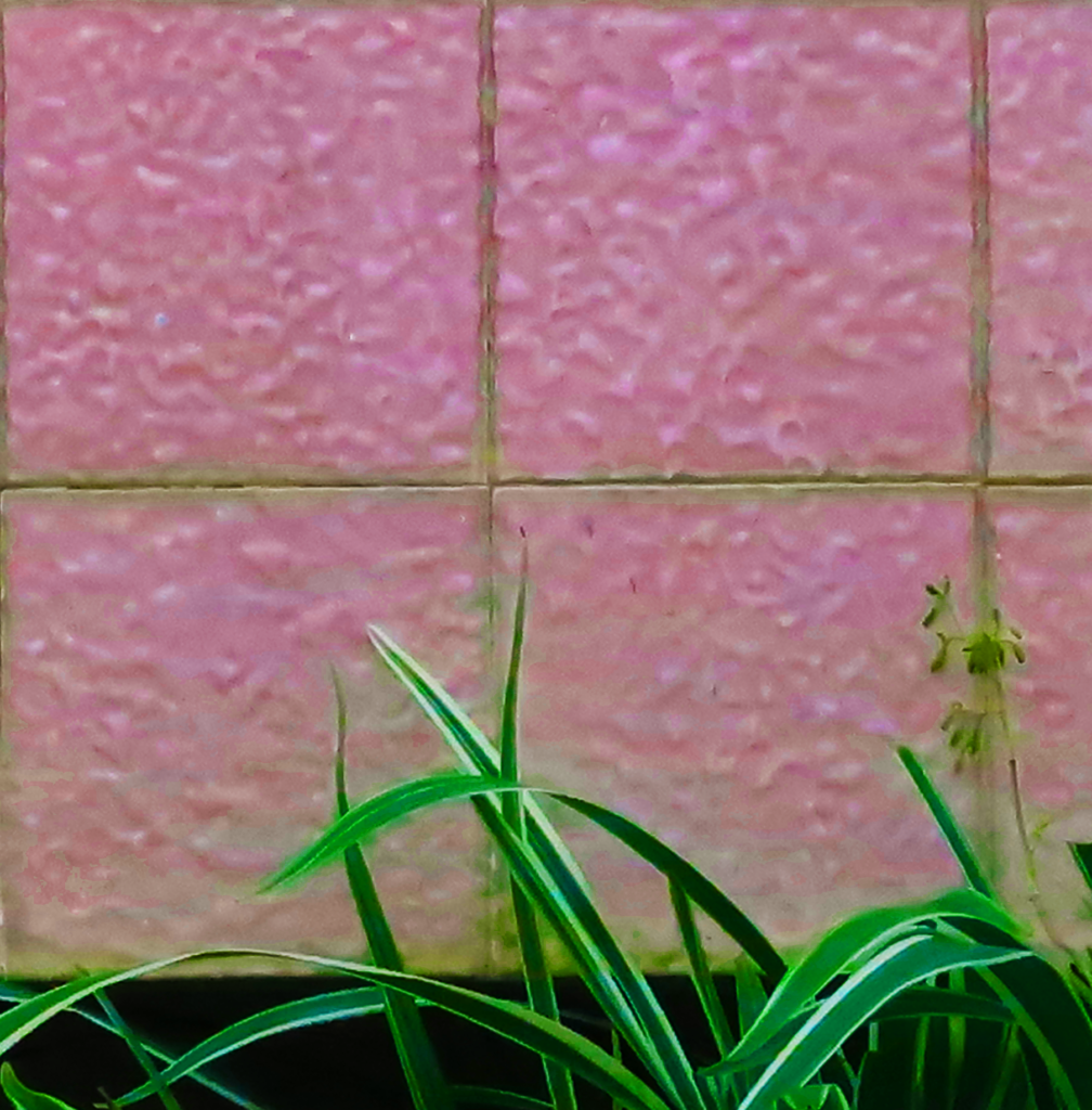 A imagem mostra uma parede revestida com azulejos rosa de textura ondulada. Na parte inferior da imagem, há folhas verdes de uma planta, adicionando contraste à superfície rosa dos azulejos.