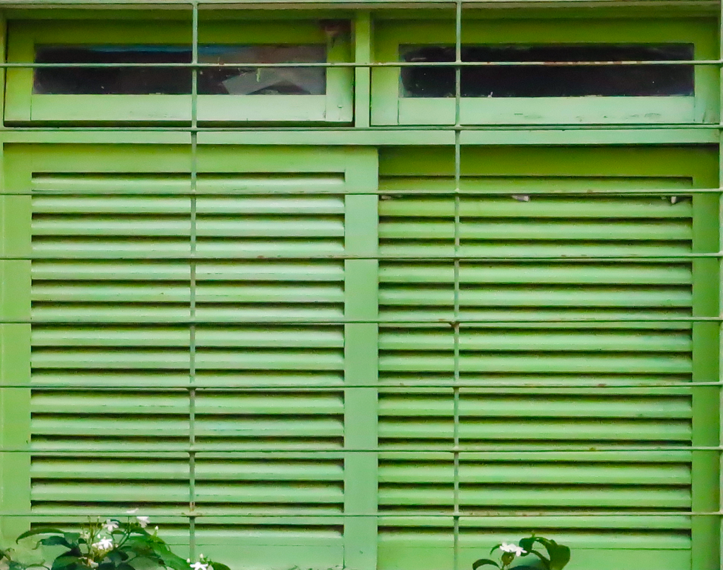 A imagem mostra uma janela com venezianas verdes, protegida por grades de metal também pintadas de verde. A parte superior da janela tem duas pequenas aberturas com vidro, enquanto a parte principal é composta por ripas horizontais.